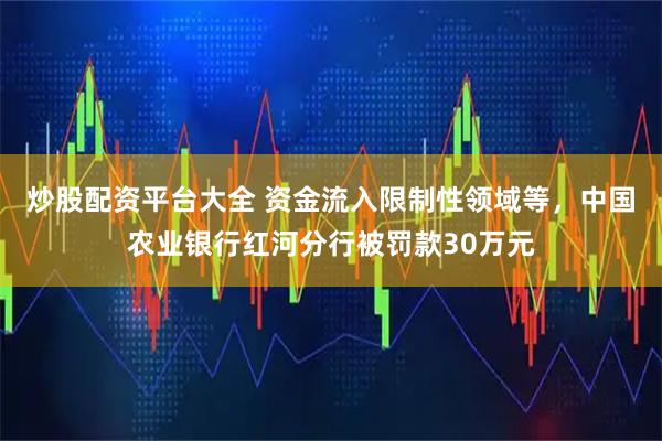 炒股配资平台大全 资金流入限制性领域等,中国农业银行红河分行被罚款30万元