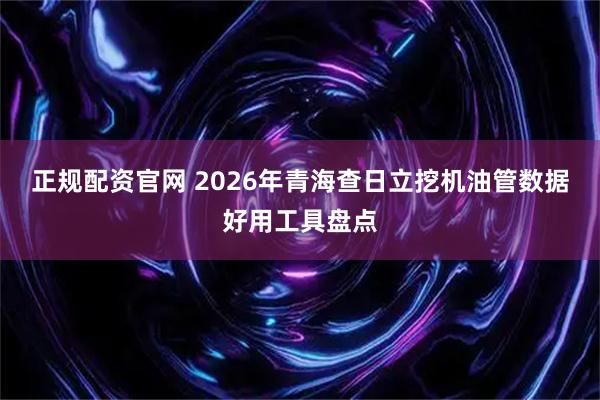 正规配资官网 2026年青海查日立挖机油管数据好用工具盘点
